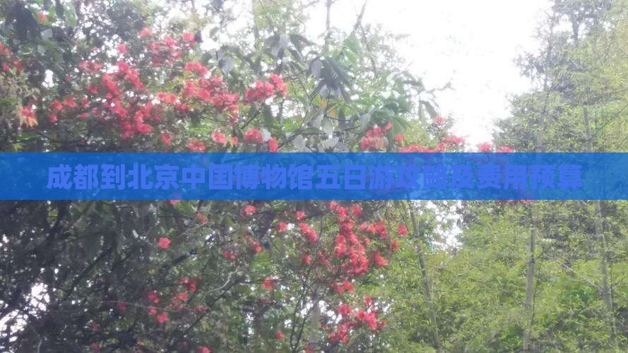 成都到北京中国博物馆五日游攻略及费用预算