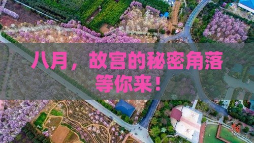 八月，故宫的秘密角落等你来！