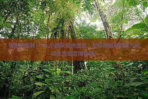 学生党福利！5人小团队惠州出发，怎样用最划算的方式游北京故宫博物院？