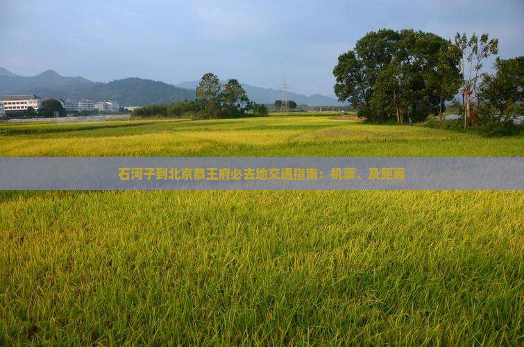 石河子到北京恭王府必去地交通指南：机票、及距离