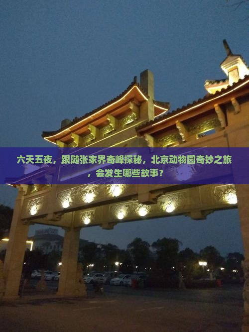 六天五夜，跟随张家界奇峰探秘，北京动物园奇妙之旅，会发生哪些故事？