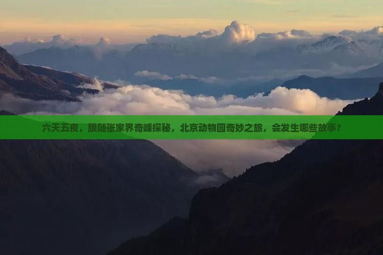 六天五夜，跟随张家界奇峰探秘，北京动物园奇妙之旅，会发生哪些故事？