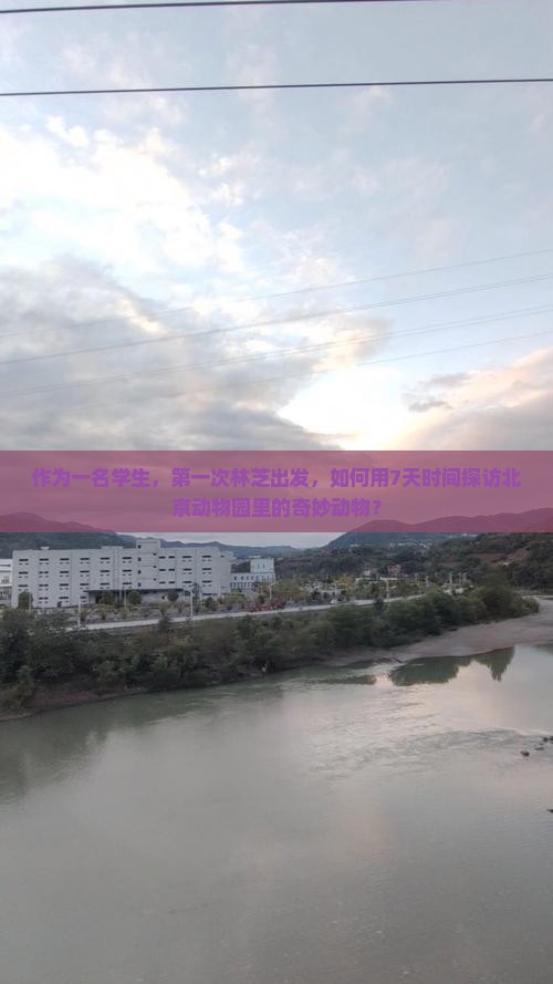 作为一名学生，第一次林芝出发，如何用7天时间探访北京动物园里的奇妙动物？
