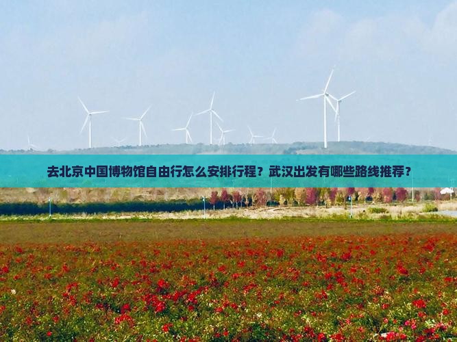 去北京中国博物馆自由行怎么安排行程？武汉出发有哪些路线推荐？