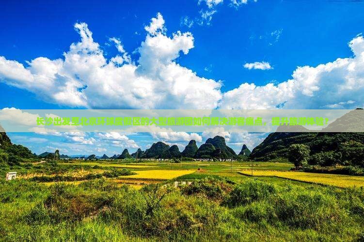 长沙出发至北京环球度假区的大型旅游团如何解决游客痛点，提升旅游体验？
