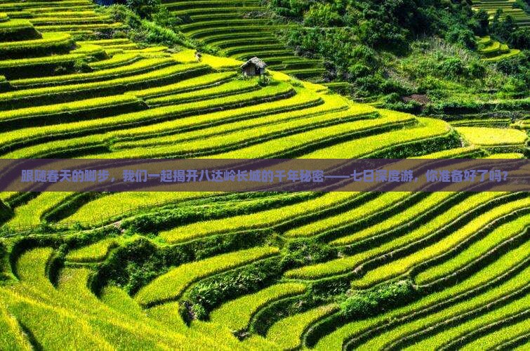 跟随春天的脚步，我们一起揭开八达岭长城的千年秘密——七日深度游，你准备好了吗？