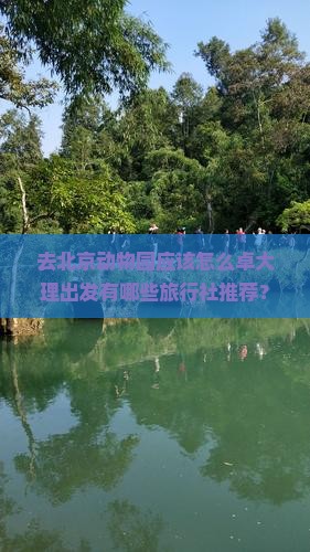 去北京动物园应该怎么卓大理出发有哪些旅行社推荐？