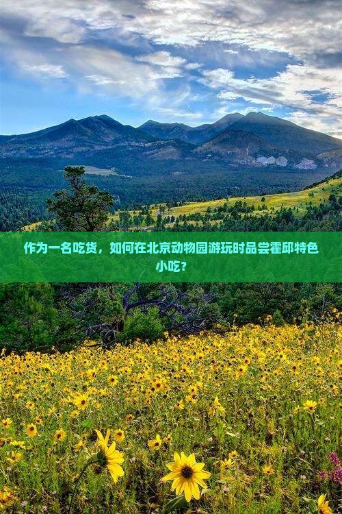 作为一名吃货，如何在北京动物园游玩时品尝霍邱特色小吃？