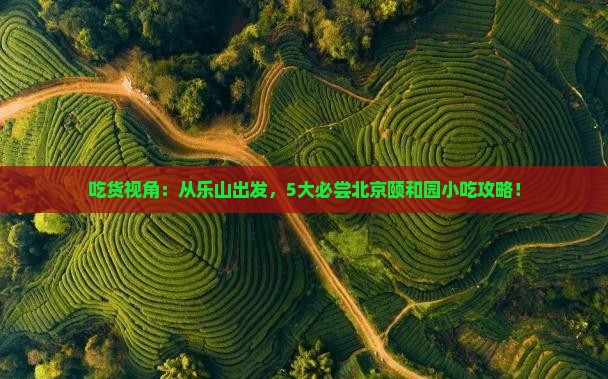 吃货视角：从乐山出发，5大必尝北京颐和园小吃攻略！