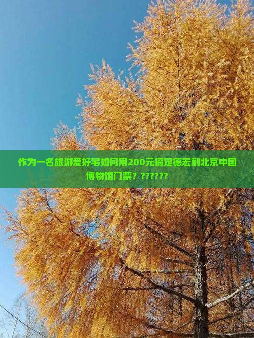 作为一名旅游爱好宅如何用200元搞定德宏到北京中国博物馆门票？??????