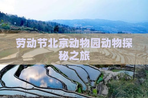 劳动节北京动物园动物探秘之旅