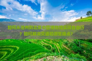 如何从沧州到北京中国博物馆实现自由行？如何解决交通和游览痛点？