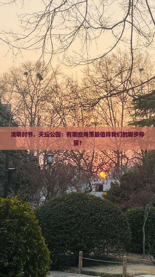 清明时节，天坛公园：有哪些角落最值得我们的脚步停留？