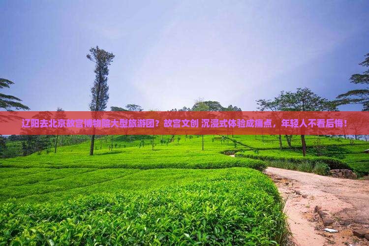 辽阳去北京故宫博物院大型旅游团？故宫文创+沉浸式体验成痛点，年轻人不看后悔！
