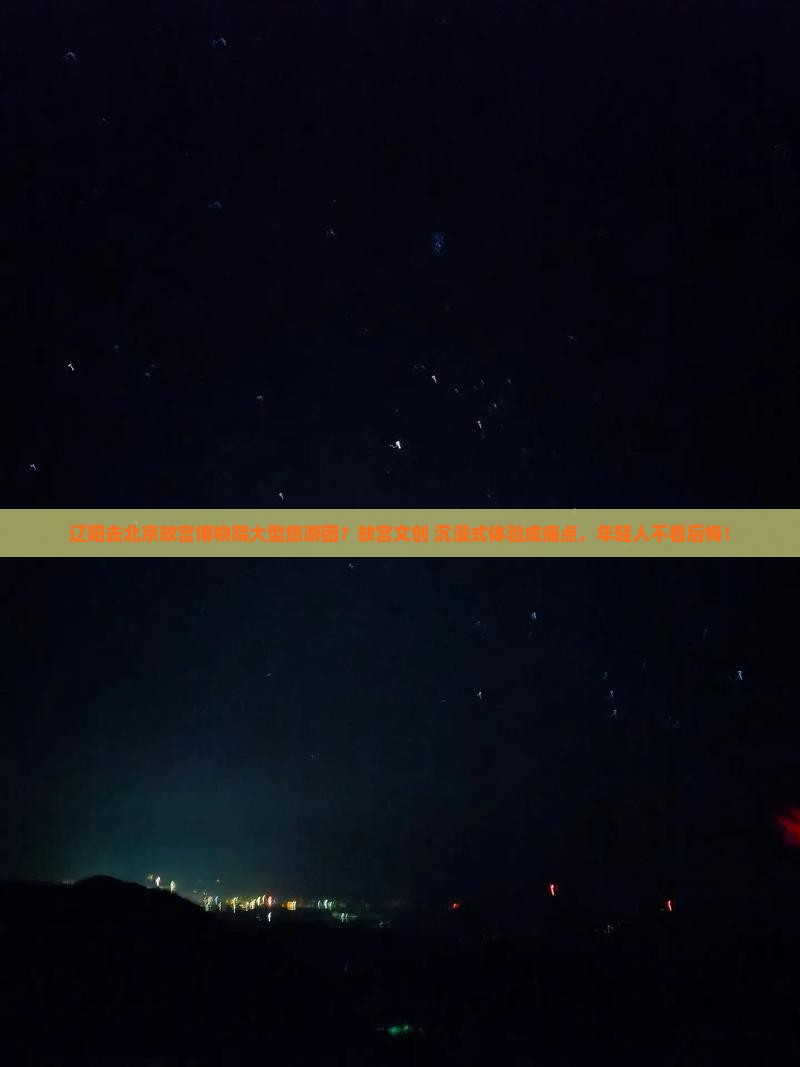 辽阳去北京故宫博物院大型旅游团？故宫文创+沉浸式体验成痛点，年轻人不看后悔！