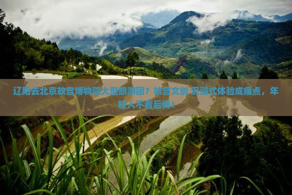 辽阳去北京故宫博物院大型旅游团？故宫文创+沉浸式体验成痛点，年轻人不看后悔！