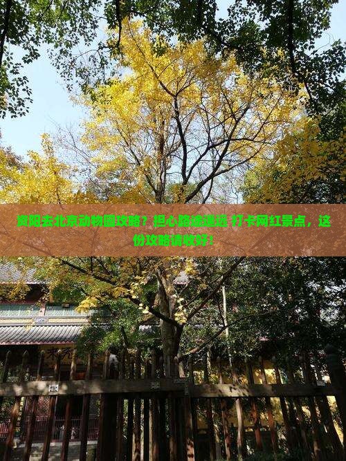 资阳去北京动物园攻略？担心路途遥远+打卡网红景点，这份攻略请收好！