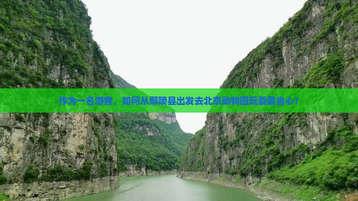 作为一名游客，如何从鄢陵县出发去北京动物园玩耍最省心？
