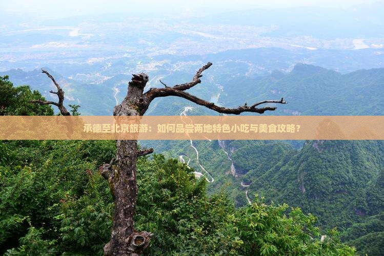 承德至北京旅游：如何品尝两地特色小吃与美食攻略？