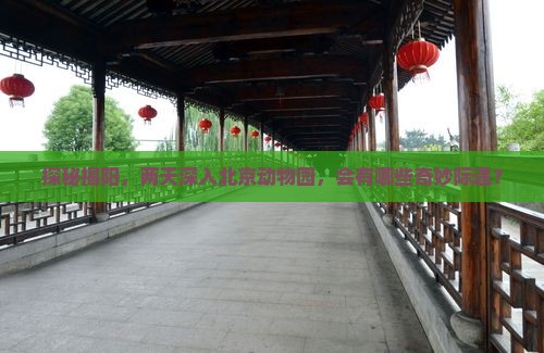探秘揭阳，两天深入北京动物园，会有哪些奇妙际遇？