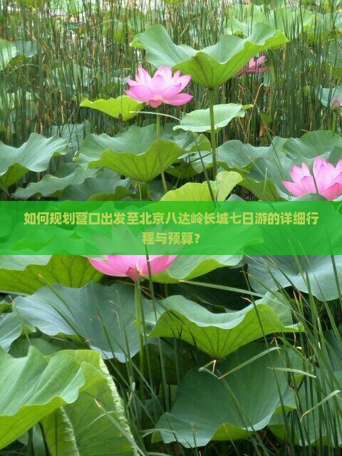 如何规划营口出发至北京八达岭长城七日游的详细行程与预算？