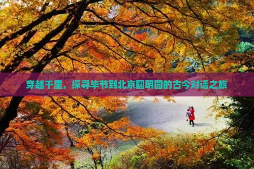穿越千里，探寻毕节到北京圆明园的古今对话之旅
