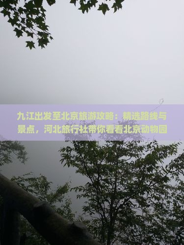 九江出发至北京旅游攻略：精选路线与景点，河北旅行社带你看看北京动物园里的动物哪里值得游览