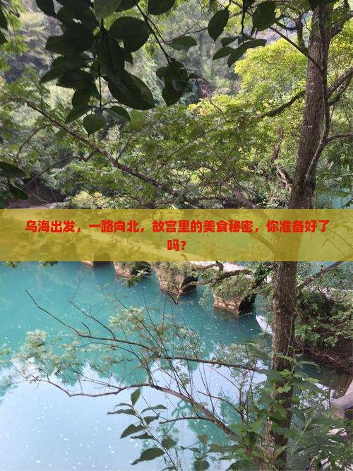乌海出发，一路向北，故宫里的美食秘密，你准备好了吗？
