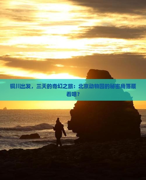铜川出发，三天的奇幻之旅：北京动物园的秘密角落藏着啥？