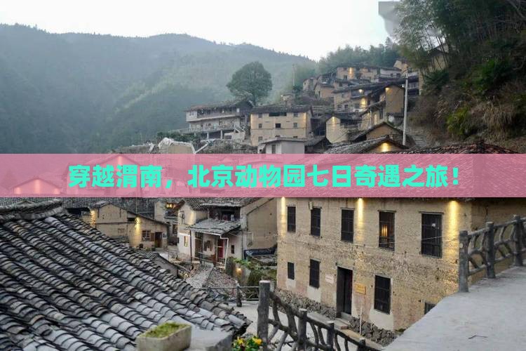 穿越渭南，北京动物园七日奇遇之旅！