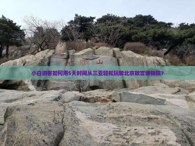 小白游客如何用5天时间从三亚轻松玩转北京故宫博物院？