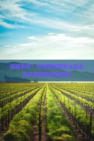 探秘京郊！贺州朋友团怎么在北京环球度假区玩得嗨？