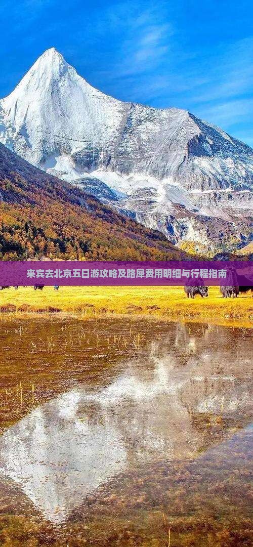 来宾去北京五日游攻略及路犀费用明细与行程指南