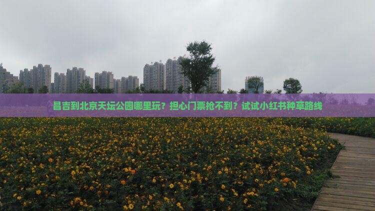 昌吉到北京天坛公园哪里玩？担心门票抢不到？试试小红书种草路线