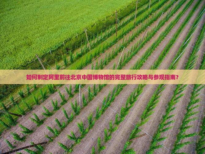 如何制定阿里前往北京中国博物馆的完整旅行攻略与参观指南？