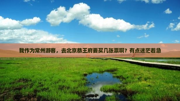 我作为常州游客，去北京恭王府要买几张票啊？有点迷茫着急