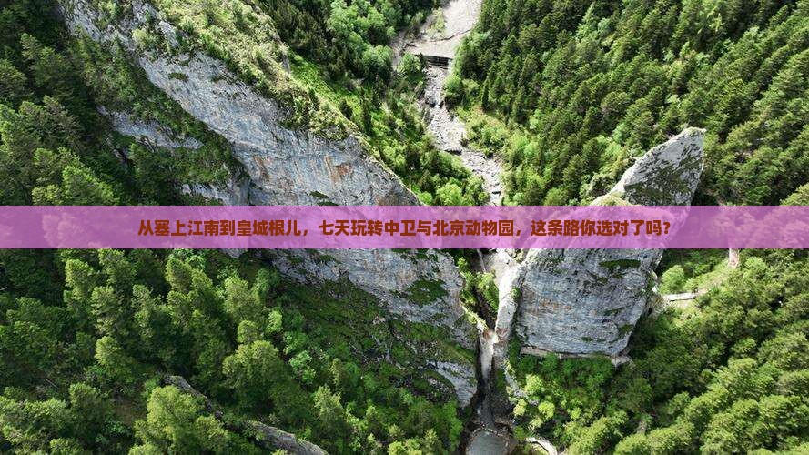 从塞上江南到皇城根儿，七天玩转中卫与北京动物园，这条路你选对了吗？
