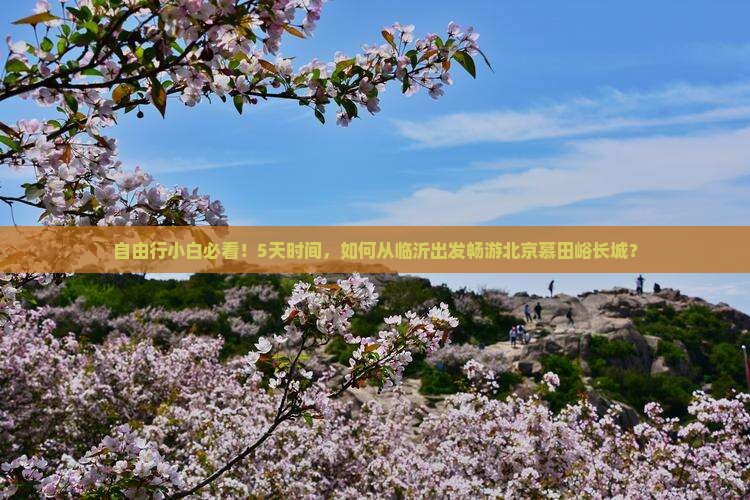 自由行小白必看！5天时间，如何从临沂出发畅游北京慕田峪长城？