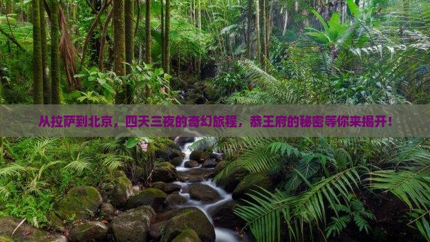 从拉萨到北京，四天三夜的奇幻旅程，恭王府的秘密等你来揭开！