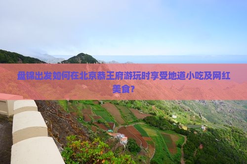 盘锦出发如何在北京恭王府游玩时享受地道小吃及网红美食？