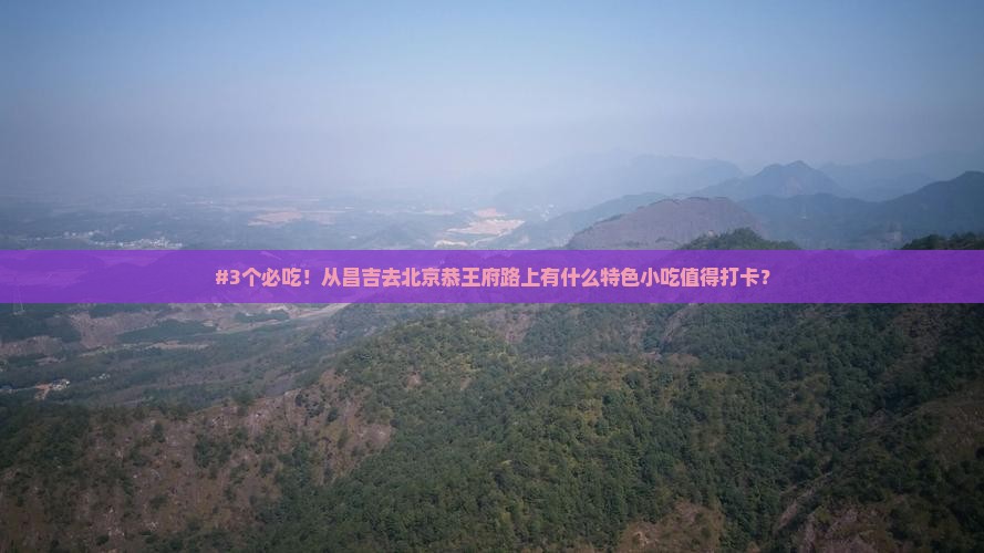 #3个必吃！从昌吉去北京恭王府路上有什么特色小吃值得打卡？