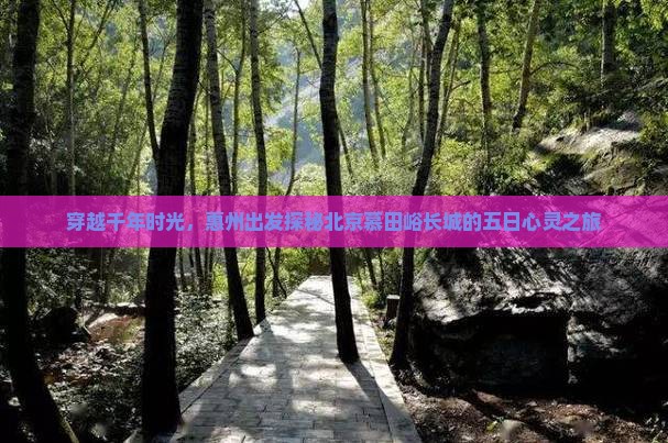 穿越千年时光，惠州出发探秘北京慕田峪长城的五日心灵之旅