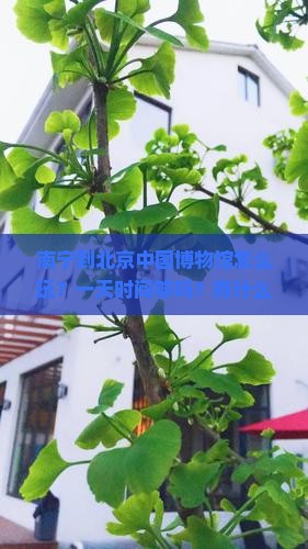 南宁到北京中国博物馆怎么玩？一天时间够吗？有什么攻略推荐？