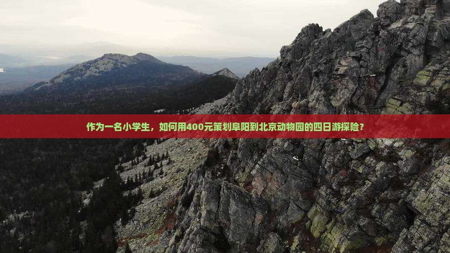 作为一名小学生，如何用400元策划阜阳到北京动物园的四日游探险？