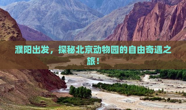 濮阳出发，探秘北京动物园的自由奇遇之旅！