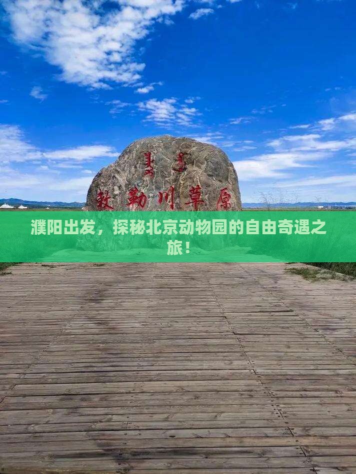 濮阳出发，探秘北京动物园的自由奇遇之旅！