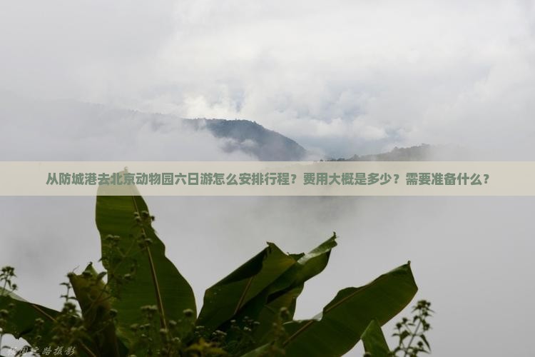 从防城港去北京动物园六日游怎么安排行程？费用大概是多少？需要准备什么？