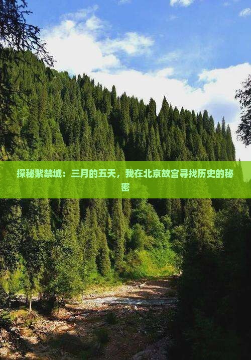 探秘紫禁城：三月的五天，我在北京故宫寻找历史的秘密