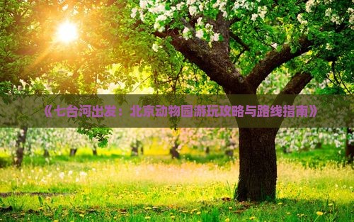 《七台河出发：北京动物园游玩攻略与路线指南》