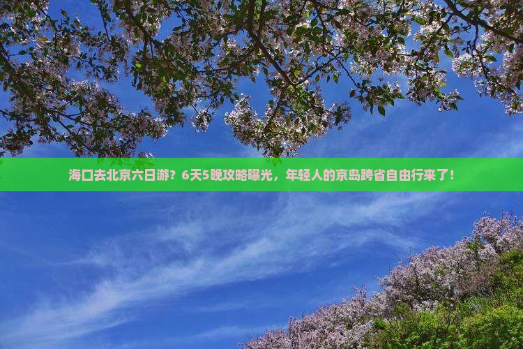 海口去北京六日游？6天5晚攻略曝光，年轻人的京岛跨省自由行来了！